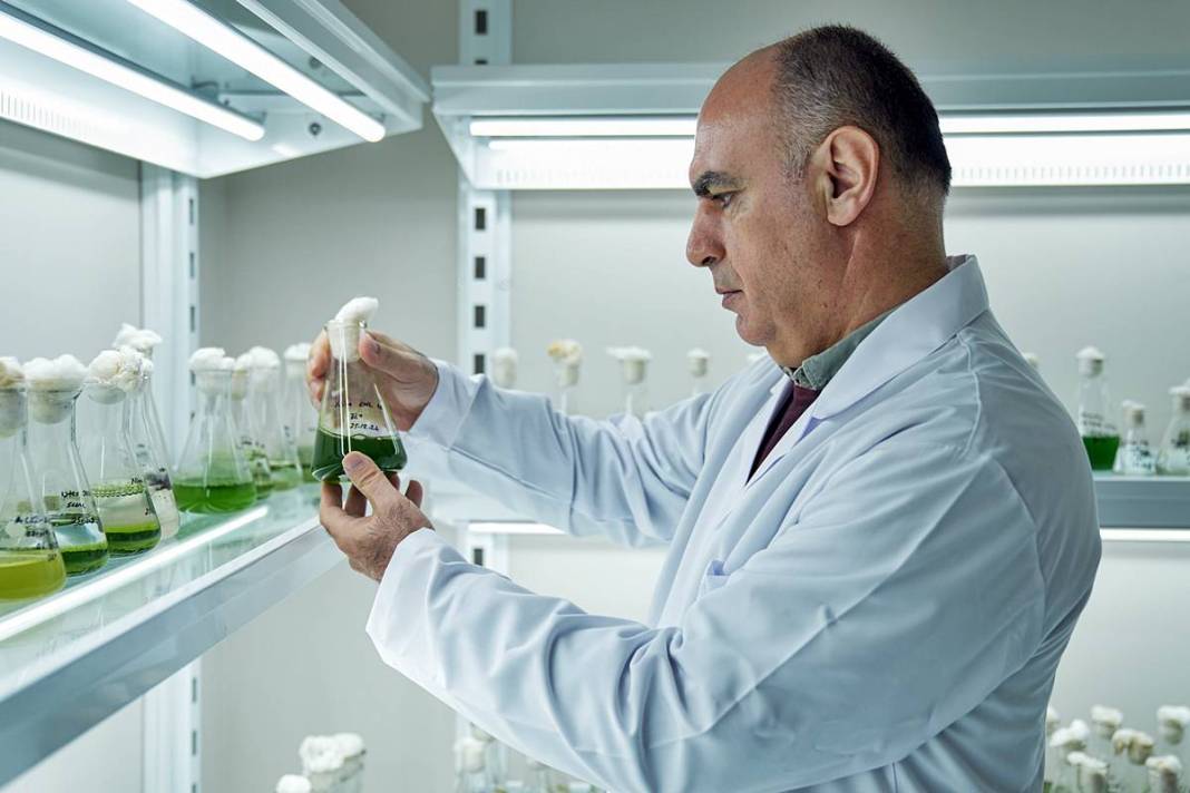 İstanbul'da buradan tutulan balıkları sakın yemeyin! Suda oksijen kalmadı, ağır metal ve pestisit var 7